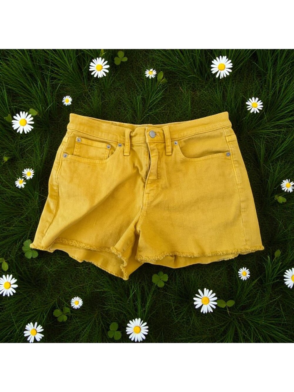 J CREW Mercantile Yellow Denim Short Size 29